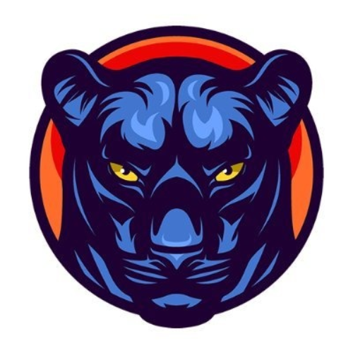 PantherSwap 